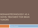 Bionanotechnology as a Novel Treatment for Brain Tumors