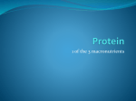 Protein - manorhousehomeeconomics