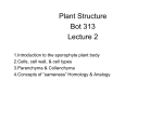 Pits - Botany and Plant Pathology