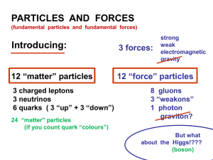 PARTICLE PHYSICS