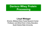 Davisco Whey Protein Processing