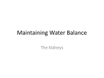 Maintaining Water Balance