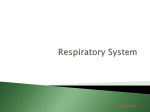 Respiratory System - Allied Health Technology 2