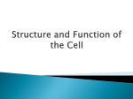 Structure and function of the cell