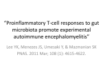 *Proinflammatory T-cell responses to gut microbiota promote