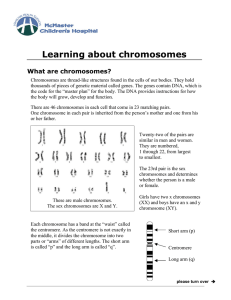 Learning about chromosomes - McMaster Children`s Hospital