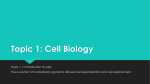 Cell theory, cell specialization, and cell replacement
