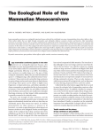 The Ecological Role of the Mammalian Mesocarnivore