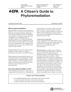 A Citizen`s Guide to Phytoremediation August 1998 - CLU-IN