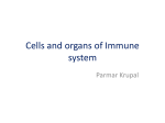 Cells of Immune system