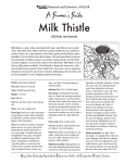 Milk Thistle - KSRE Bookstore