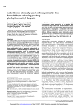 Activation of clinically used anthracyclines by the formaldehyde