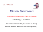 Microbial Biotechnology Commercial Production of - ASAB-NUST