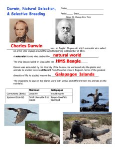 Charles Darwin natural world HMS Beagle Galapagos Islands