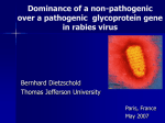 Dominance of a non-pathogenic over a pathogenic G protein gene