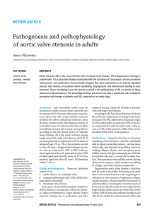 Pathogenesis and pathophysiology of aortic valve stenosis in adults
