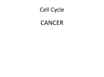 Cancer - mykingbiology
