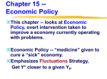 Introduction to Economic Policy
