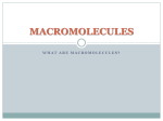 What are macromolecules?