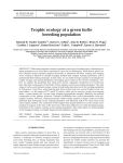 Trophic ecology of a green turtle breeding population