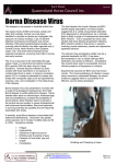 Borna Disease Virus - Queensland Horse Council