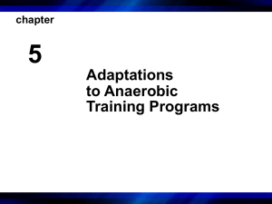 Adaptations to Anaerobic Training Programs
