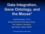Data Integration, Gene Ontology, and the Mouse*