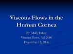 Viscous Flows in the Human Cornea