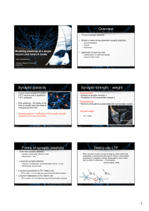 Overview Synaptic plasticity Synaptic strength