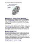 Mitochondria - Turning on the Powerhouse