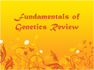 Fundamentals of Genetics Review