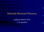 VA Bacterial Diseases