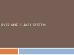 Liver and Biliary System