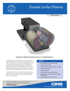 Dynamic Cardiac Phantom