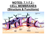 Chapter 8: CELL MEMBRANE