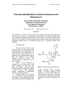 Forensic Identification of Salvia divinorum and Salvinorin A