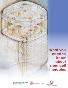 What you need to know about stem cell therapies