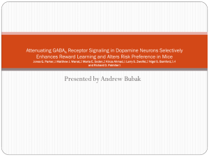 Attenuating GABAA Receptor Signaling in Dopamine Neurons