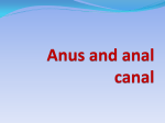 Anus and anal canal