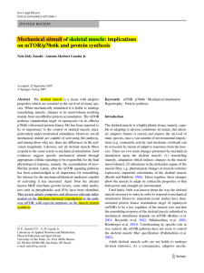 Mechanical stimuli of skeletal muscle: implications on mTOR/p70s6k