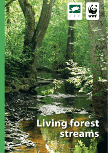Living forest streams