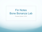 11/6 Bone Bonanza Lab