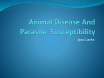 Animal Disease And Parasite Susceptibility