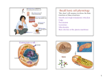 Recall basic cell physiology