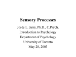 Sensory Processes - Department of Psychology | University of Toronto