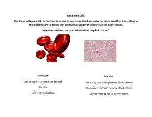 Red Blood Cells Red blood cells main job, or function, is to take in