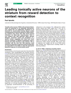 Leading tonically active neurons of the striatum from reward