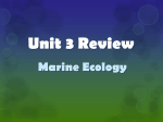 Unit 3 Review