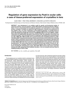 Regulation of gene expression by Pax6 in ocular cells: a case of