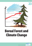 Boreal Forest and Climate Change